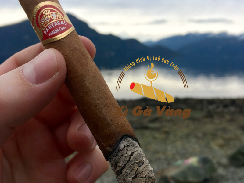 Xì gà Partagas thơm ngon, hảo hạng